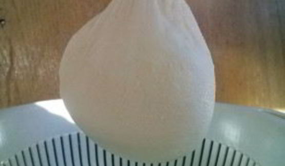 домашний творог из молока