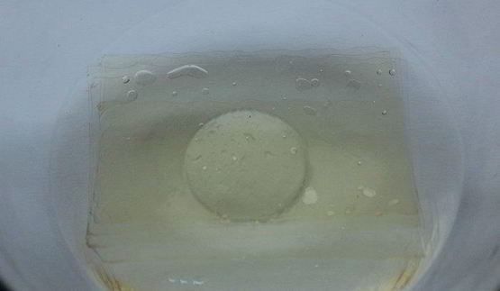 кофейно-ромовая панна котта с соусом тоффи