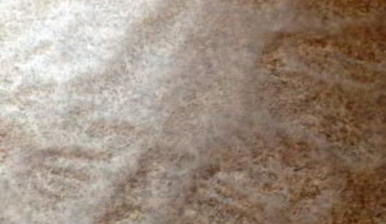 бисквитный рулет с масляным кремом