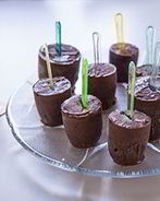 Шоколадное мороженое Фадж