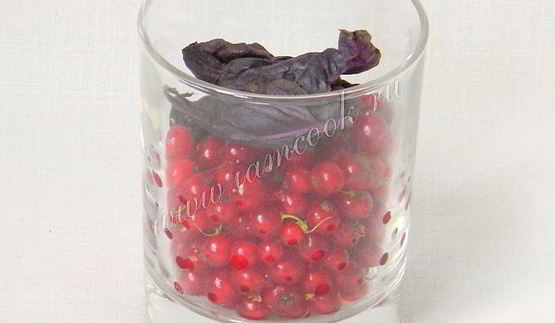 панна котта с красной смородиной