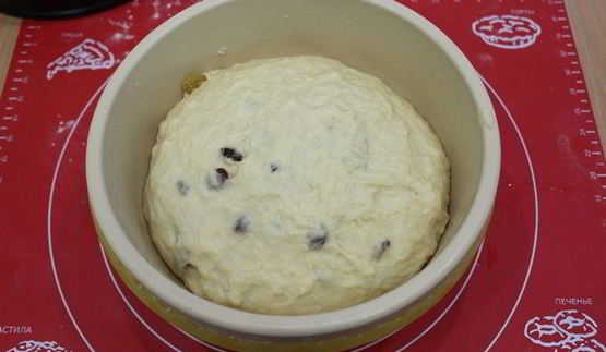 пасхальный кулич на сметане