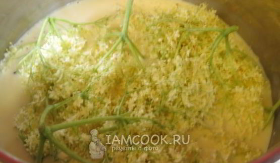 сливочный пудинг с цветами бузины