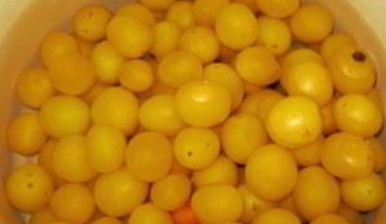 желе из алычи