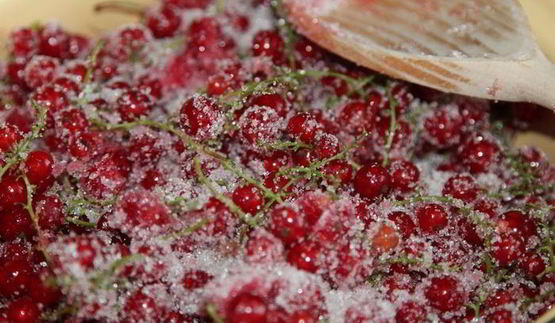 желе из красной смородины