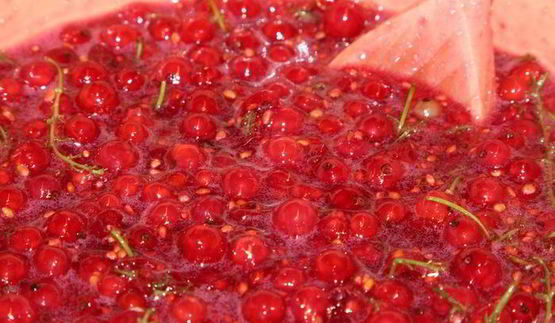 желе из красной смородины