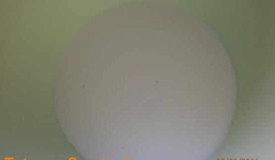 блинная лапша с грибами