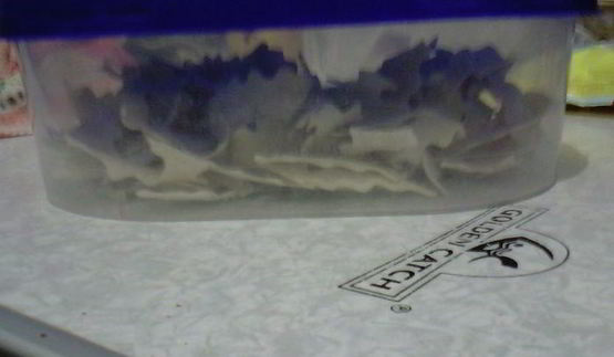 домашняя лапша