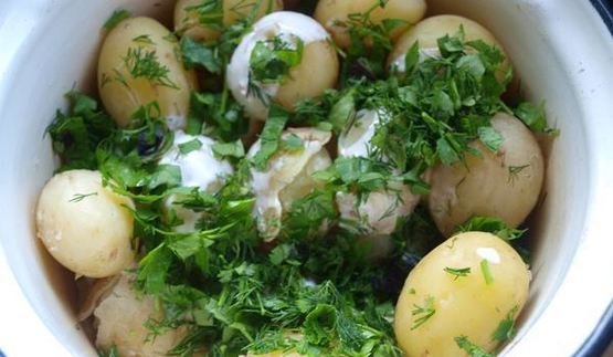 картофель молодой со сметаной и зеленью