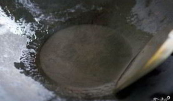 рис с чесноком