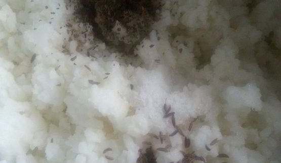 тыквенный рис на halloween