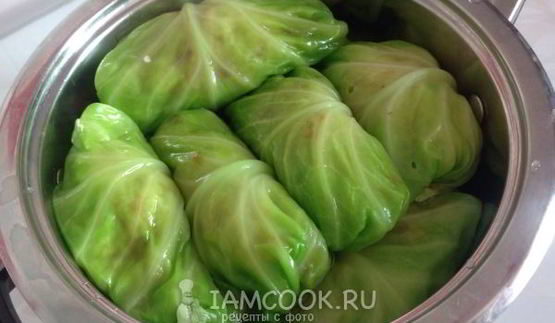 голубцы из молодой капусты