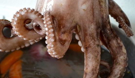 спагетти с осьминогом