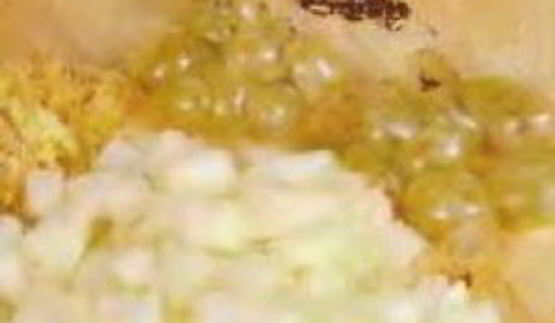 курица с виноградом