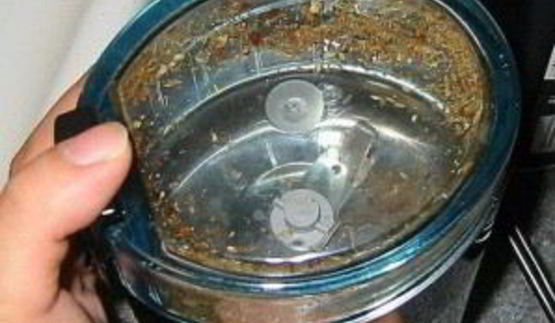 свинина на гриле