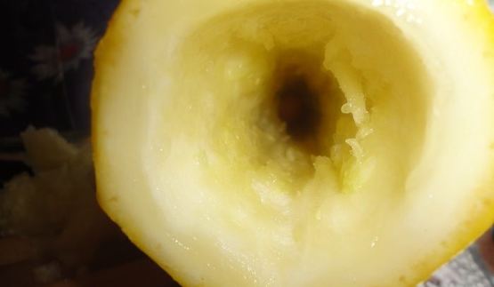 фаршированный кабачок