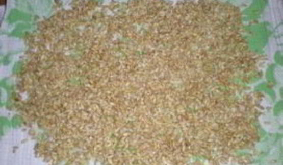 плов из перловки с мясом