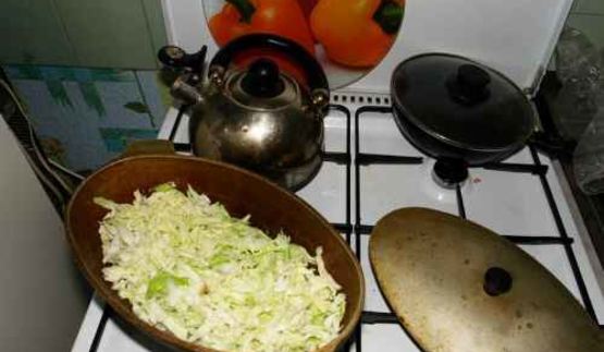 рагу овощное с мясом