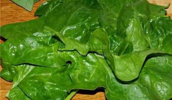 форель в мантии