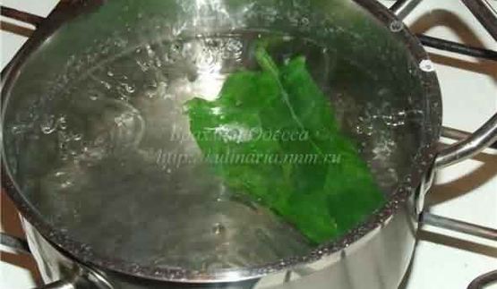 форель в мантии