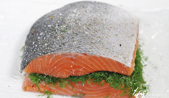 лосось гравлакс