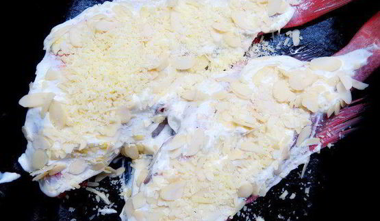морской окунь под сметанным соусом