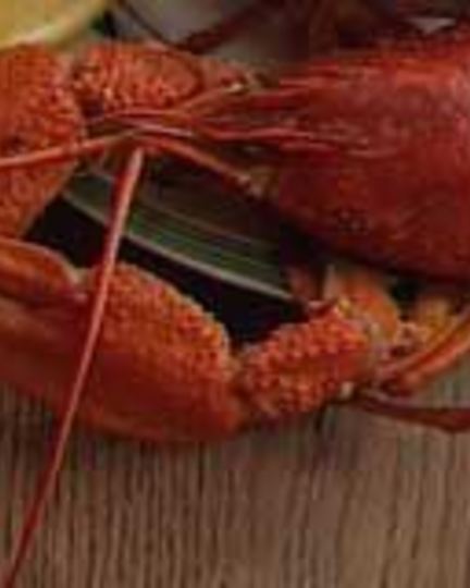 Рецепт раков