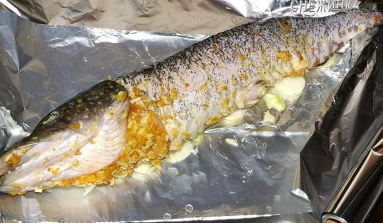 щука фаршированная, запеченная в фольге