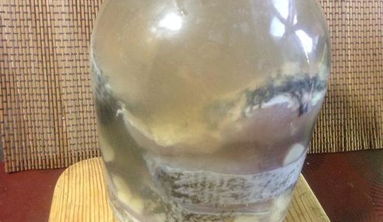 щука в рассоле-маринаде