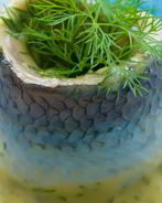 Селедка в горчичном соусе