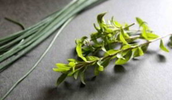 семга на костре в фольге