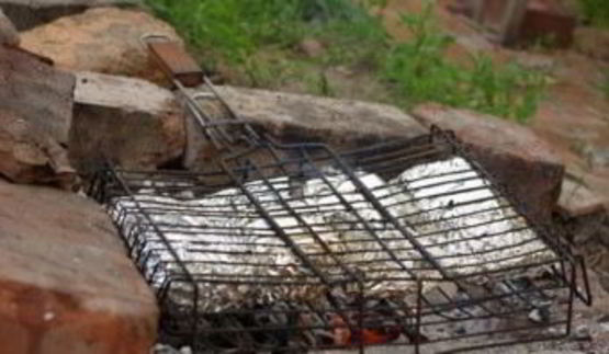 семга на костре в фольге