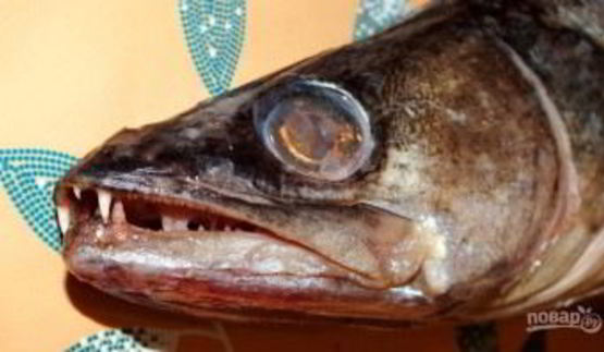 судак по-королевски