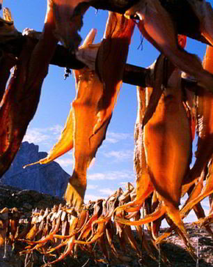 Вяленая камбала