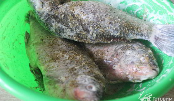 запеченные караси с луком