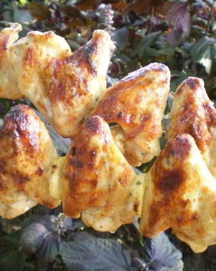 Рецепт куриного шашлыка на кефире