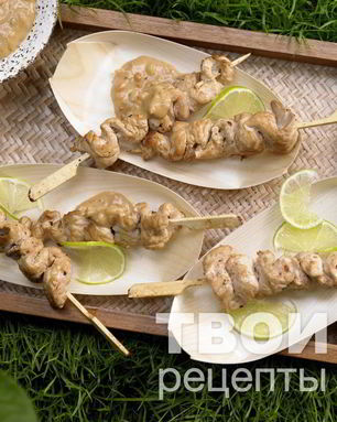 Шашлык из индейки