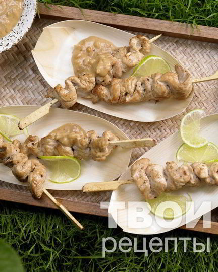 Рецепт шашлыка из индейки