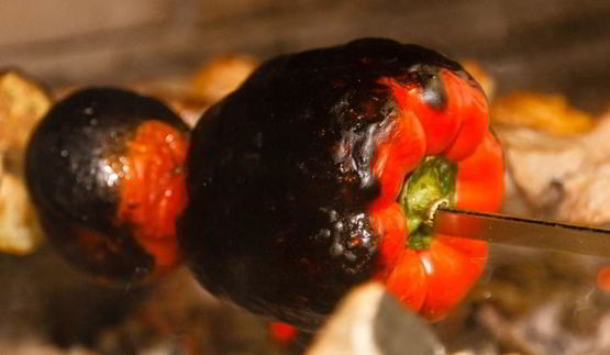 шашлык из курицы с овощами