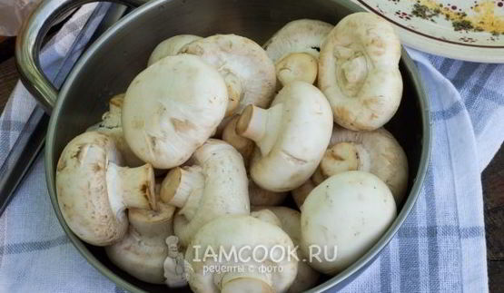 шашлык из шампиньонов на углях