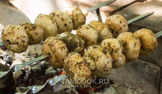 шашлык из шампиньонов на углях