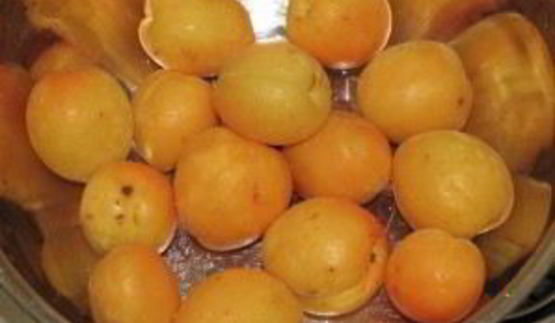 абрикос в сиропе на зиму