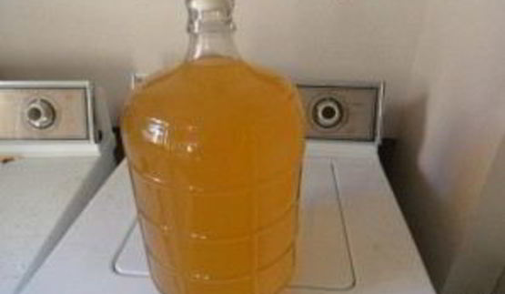 домашнее вино из облепихи