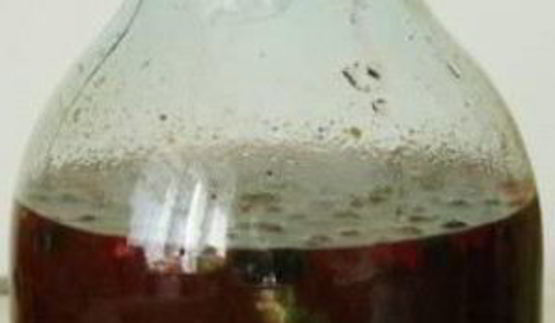 домашнее вино из варенья