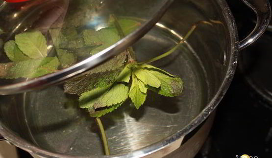 лимонный напиток с мятой