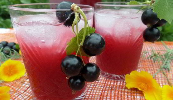 напиток из ревеня и черной смородины