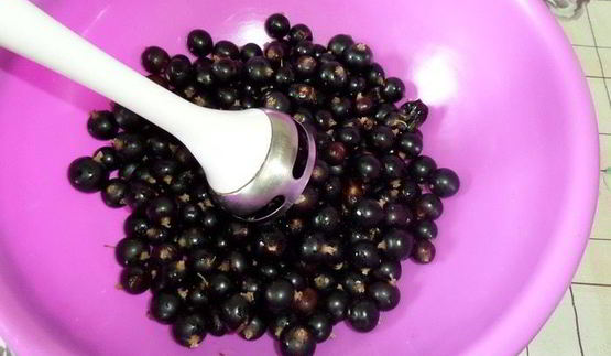 напиток из ревеня и черной смородины