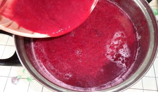 напиток из ревеня и черной смородины