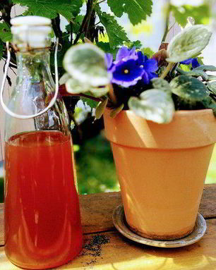 Ревеневый сироп