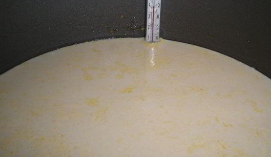 ряженка домашняя варенец